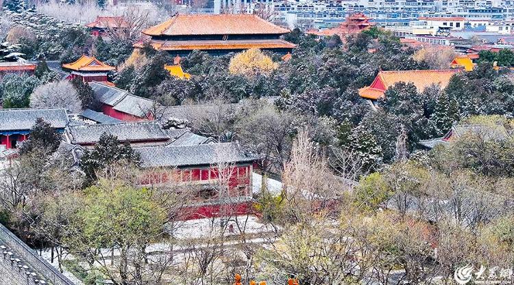 山东泰安：红墙白雪 步步皆景 雪后岱庙尽显别样美