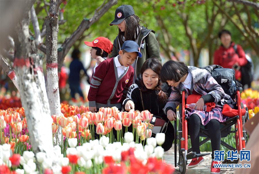 河北：观花赏景度周末