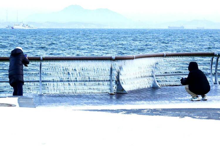 剔透！大连海岸挂冰凌