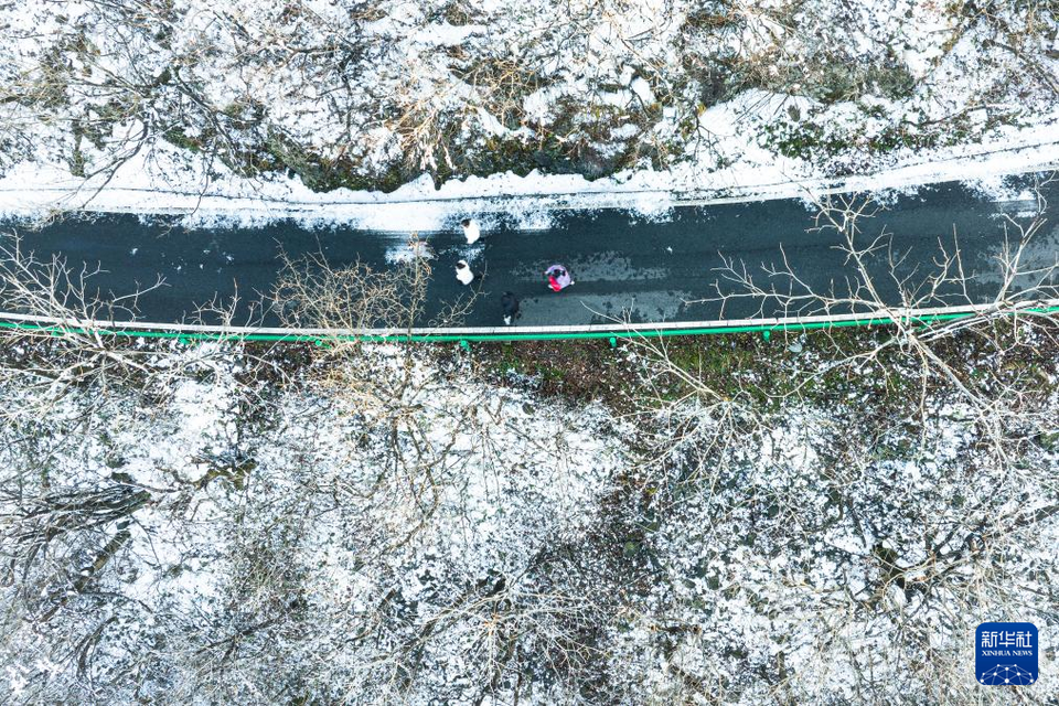 湖北随州：大洪山雪后初霁