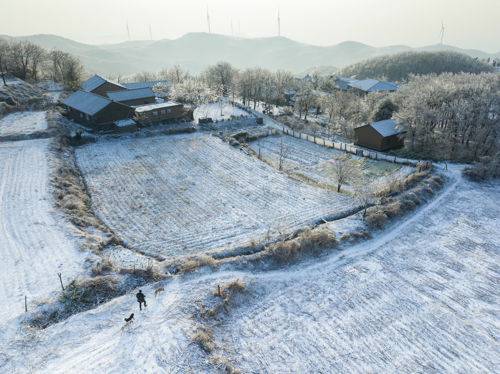 飞雪落成诗 一秒入仙境！雪后河南 美出“天际”