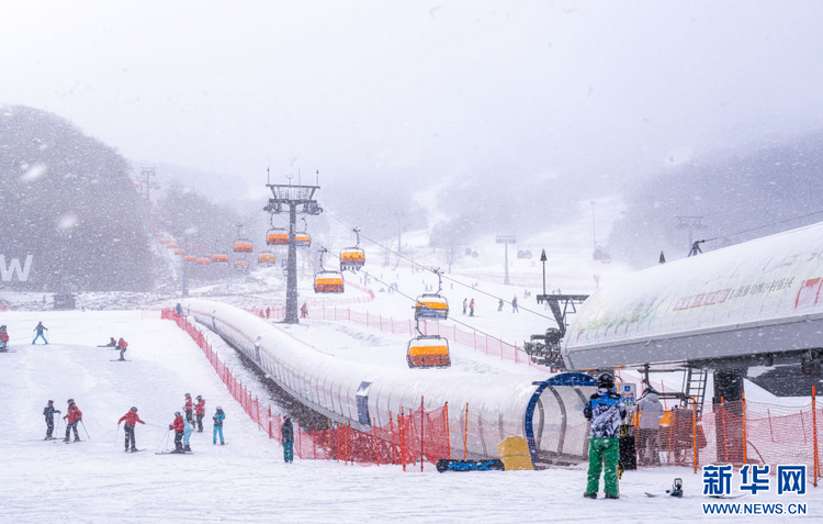 旅游热、消费火、投资忙——东北冰雪经济释放“热动能”