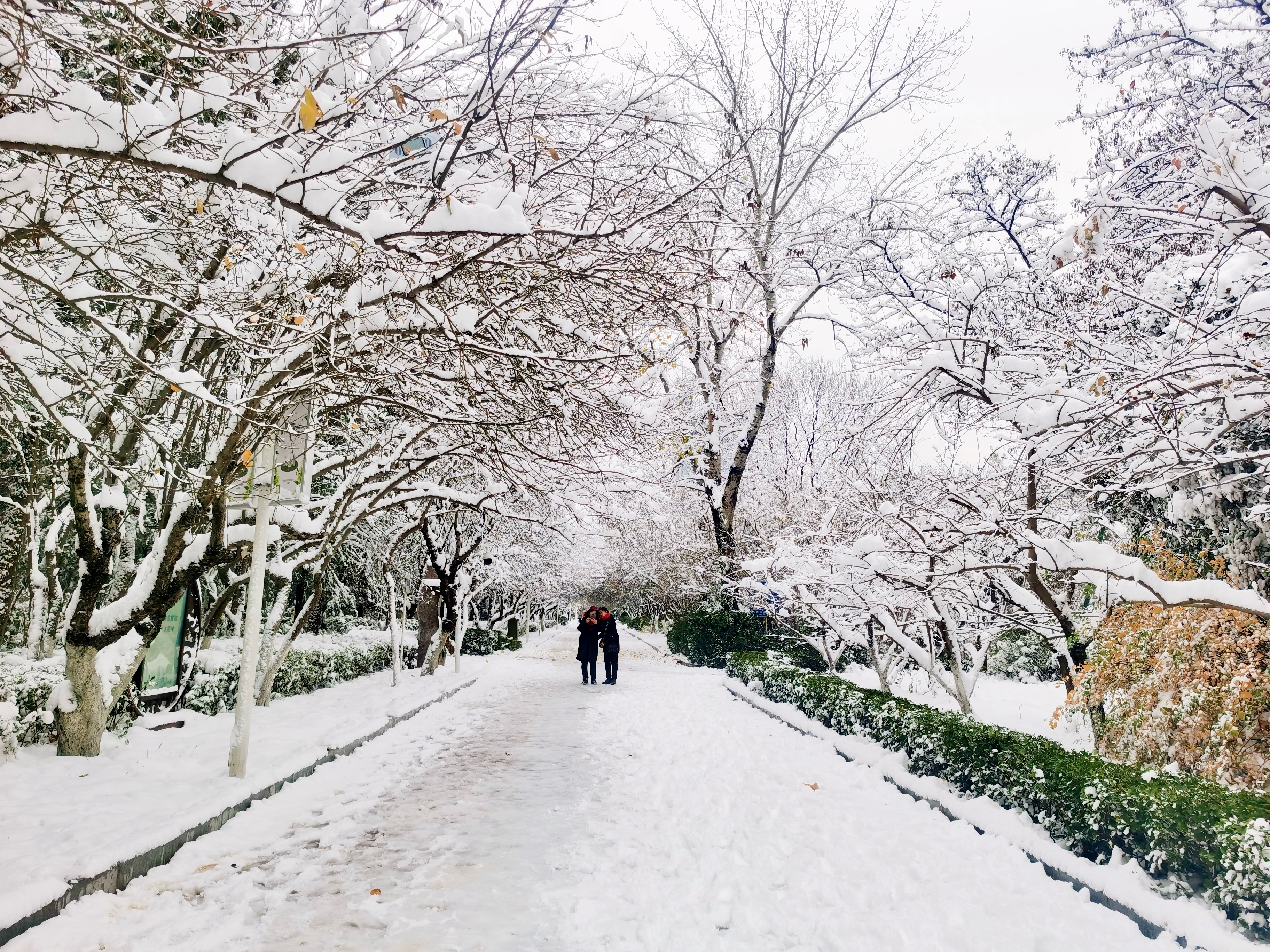 飞雪落成诗 一秒入仙境！雪后河南 美出“天际”