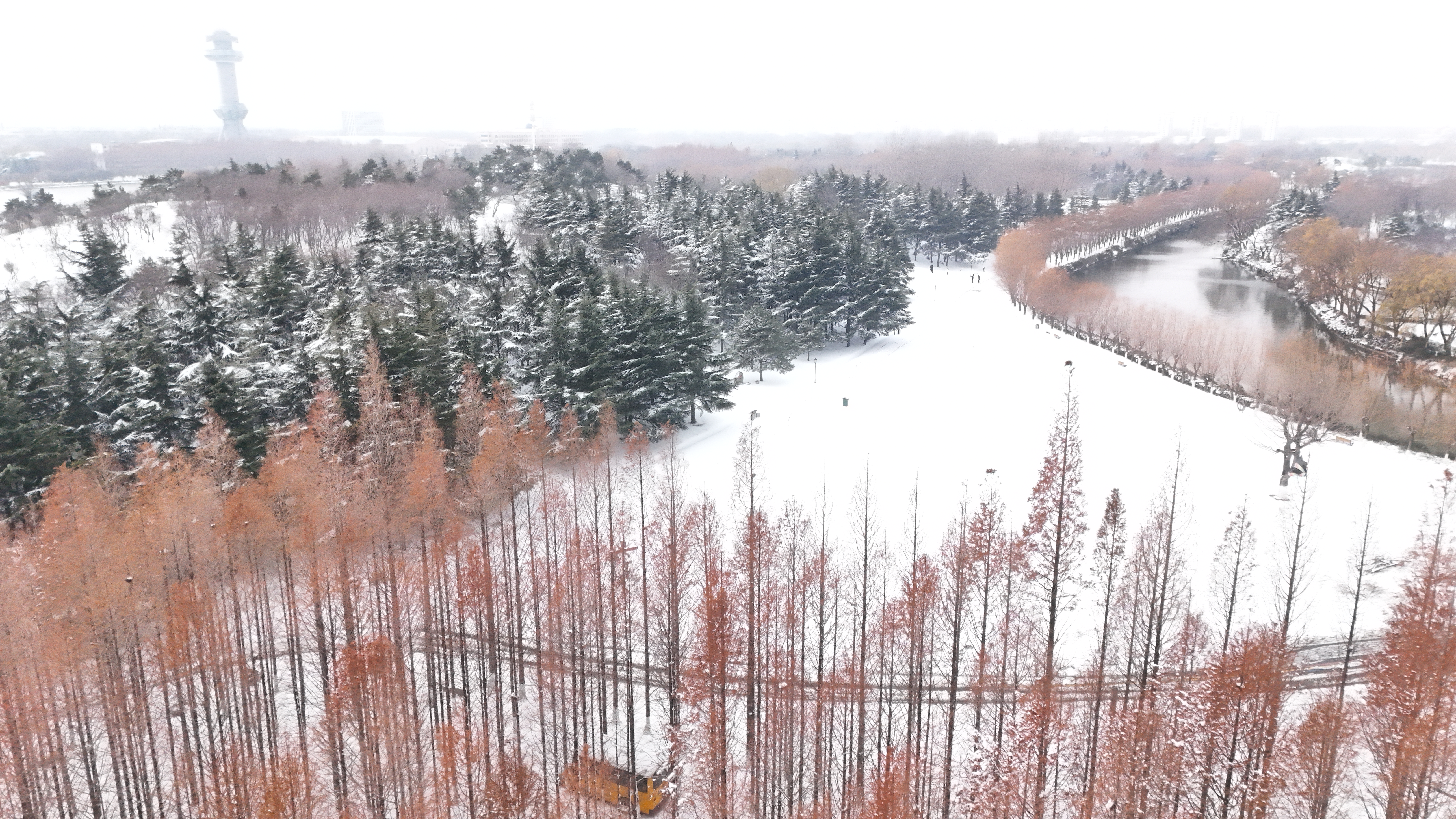 飞雪落成诗 一秒入仙境！雪后河南 美出“天际”