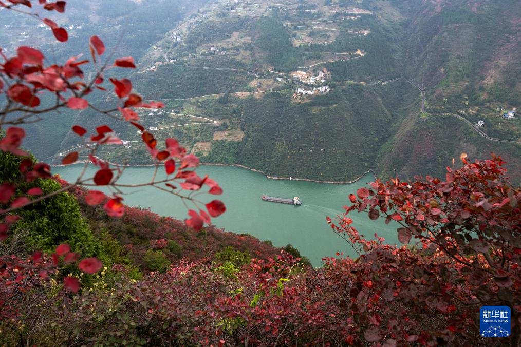 长江中游游轮旅游逐步复苏