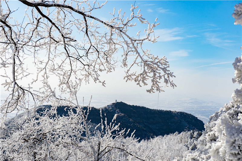 三门峡渑池：雪国天境美如画_fororder_霜冻枝头 摄影 杨波