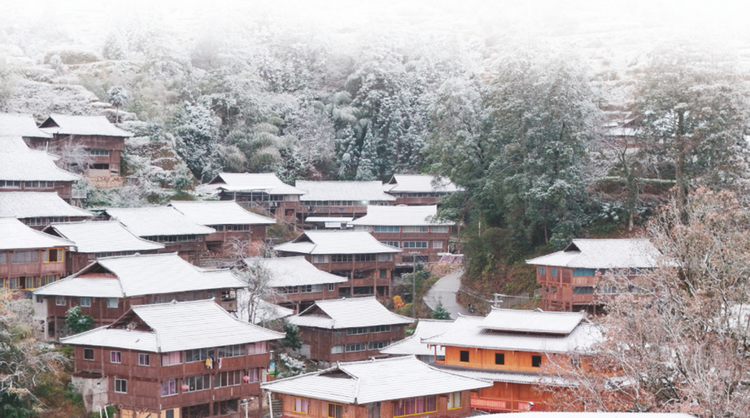 天气这么冷，南宁市区会下雪吗？