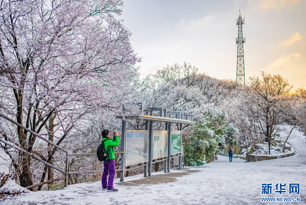 雪后金陵美如画