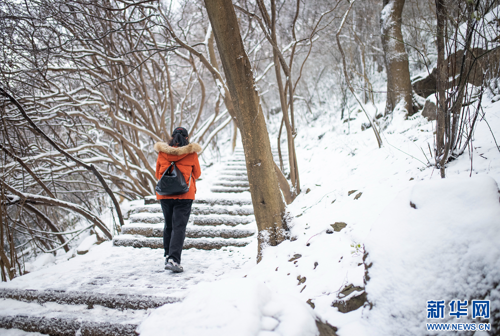 雪后金陵美如画