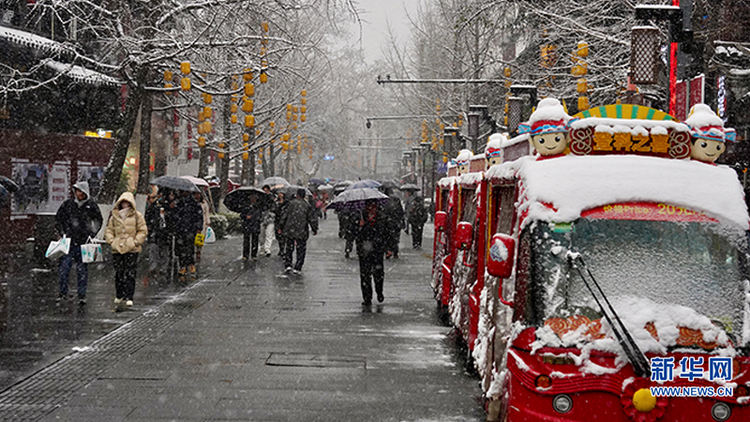 雪绘金陵 美景如画