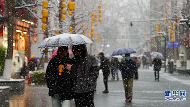 雪绘金陵 美景如画