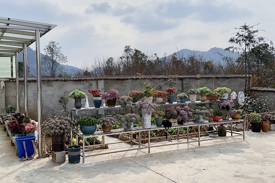 （供稿）贵阳市修文县阳明洞街道：建设宜居乡村 共享幸福家园_fororder_图片1