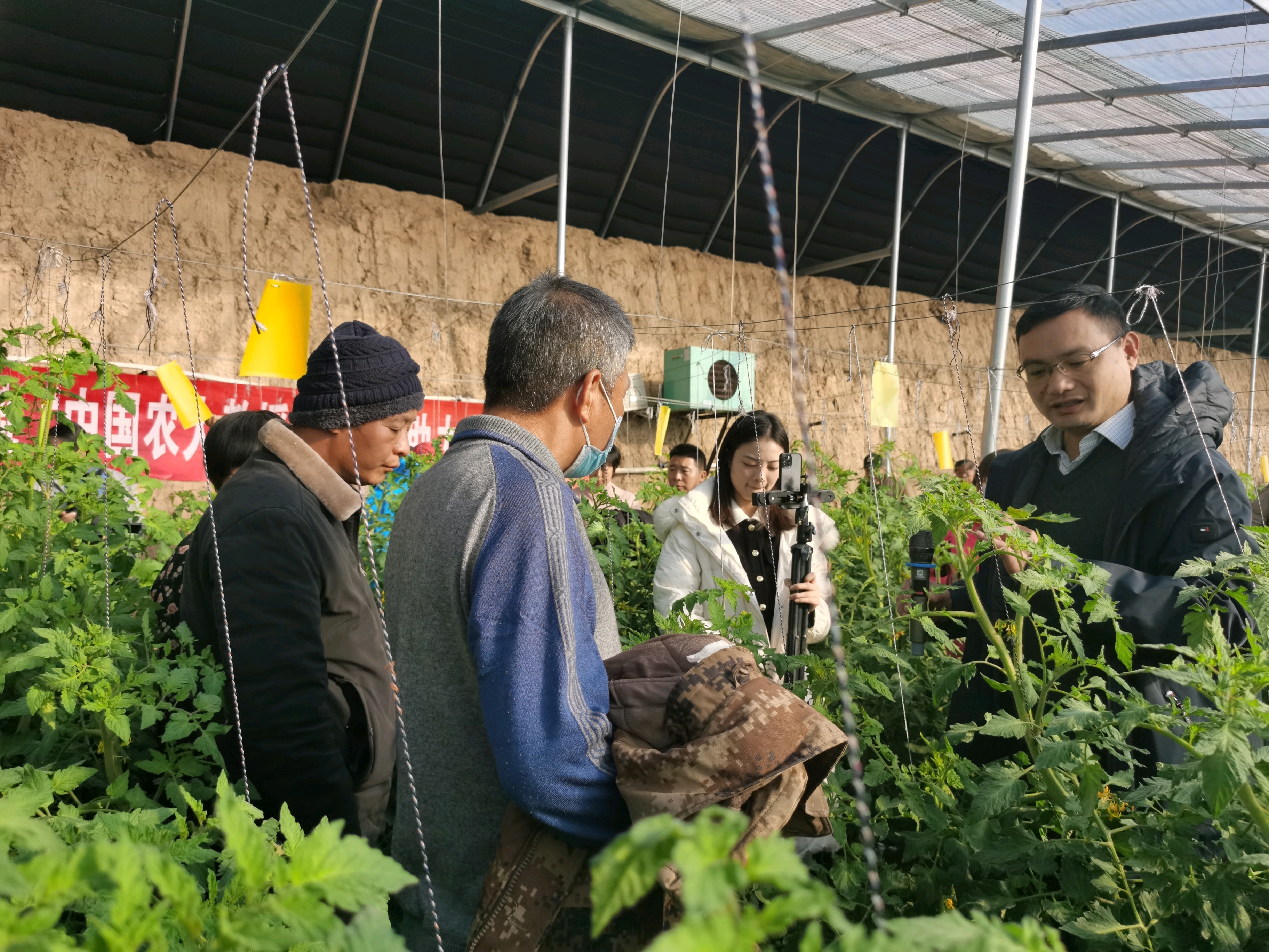 保定徐水区：和美古村“新”意浓_fororder_农业专家下乡，为麒麟店村民送技术。刘柯旋 摄