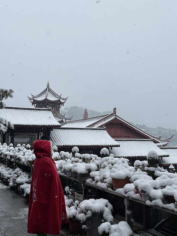 成都下雪上热搜！昨天还是“头皮雪”，今天一起“白了头”_fororder_未标题-1