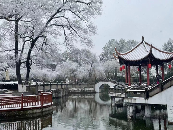 成都下雪上热搜！昨天还是“头皮雪”，今天一起“白了头”_fororder_未标题-4