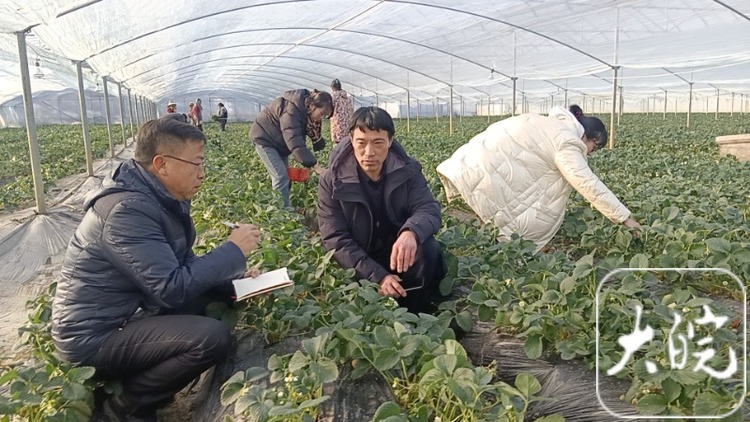 新春走基层｜天寒地冻坚守，不负市民“舌尖上的美味”