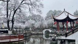 成都下雪上热搜！昨天还是“头皮雪”，今天一起“白了头”