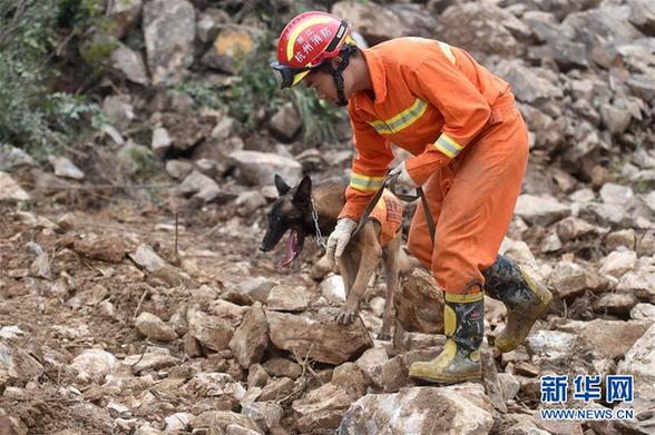 遂昌山体滑坡8人亡19人失联 搜救进入黄金72小时