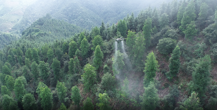 广西凤山县：让绿水青山成为群众的“幸福靠山”_fororder_图片4