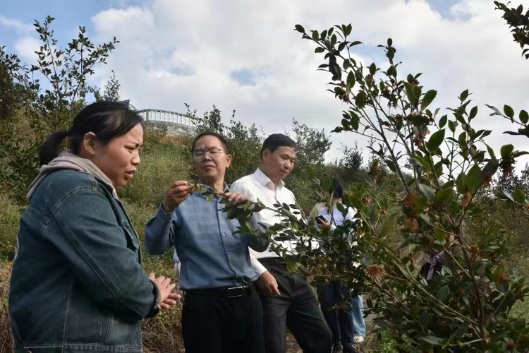 广西凤山县：让绿水青山成为群众的“幸福靠山”_fororder_图片3