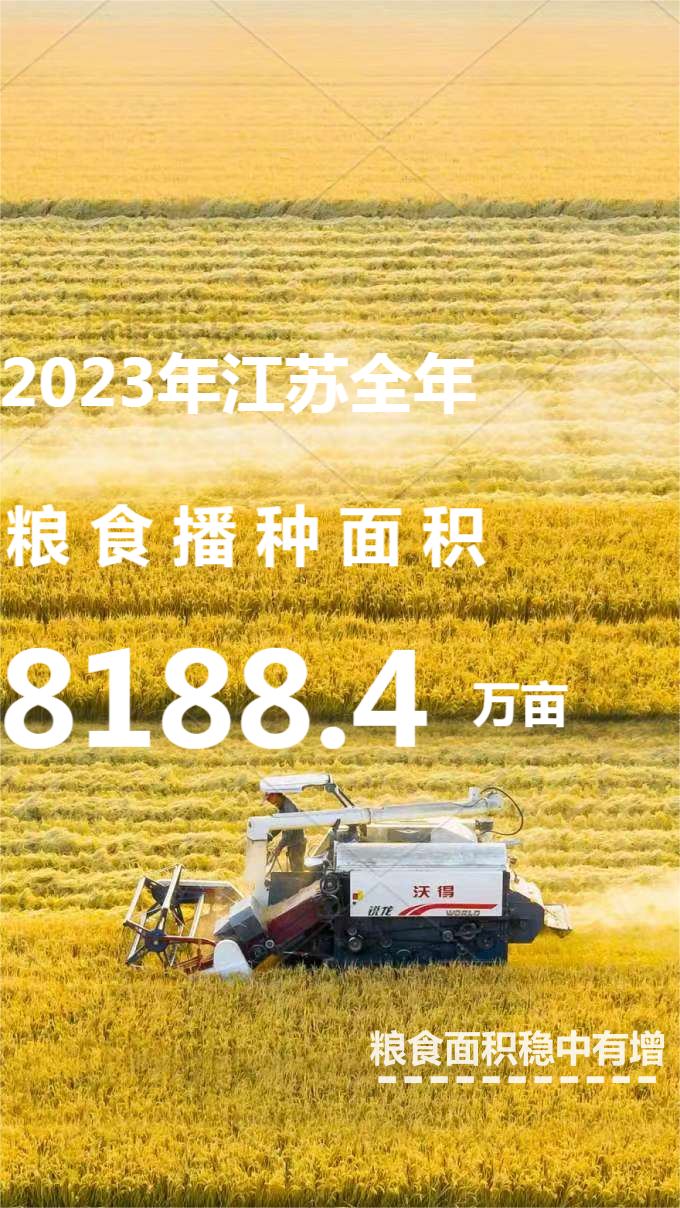 总产量759.5亿斤 2023年江苏粮食生产再获好收成