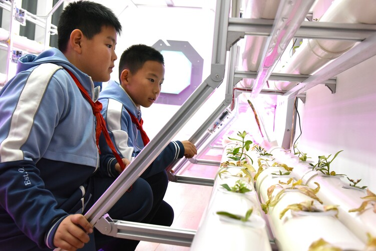 Shijiazhuang Yuhua: Primary and Secondary Students Immerse Themselves in Charms of Science and Technology_fororder_图片23