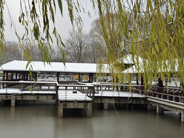 Snow-clad Donghuan Park in Shijiazhuang Emanates Winter Charm_fororder_图片18