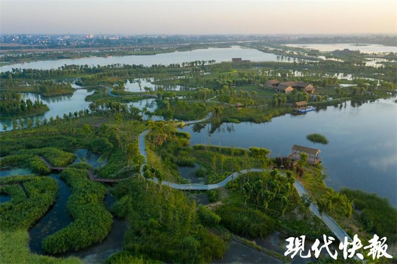 看清波荡漾 芳草萋萋 江苏首届“10佳湿地生态修复案例”出炉