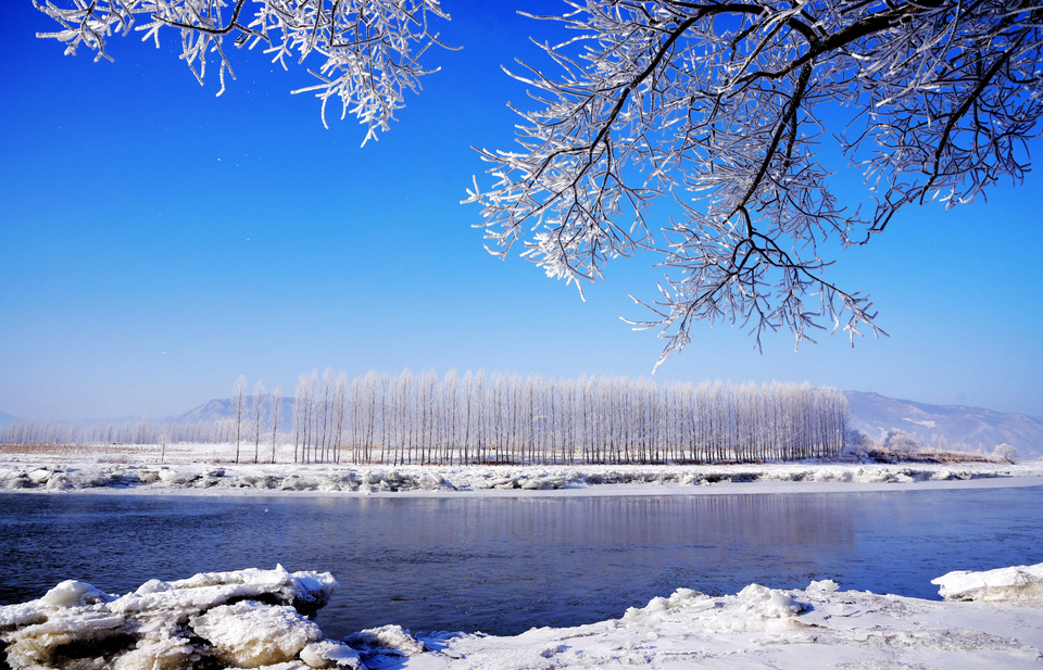 玉树冰花，限时美景！冬日的雾凇谷竟然呈现出了梦幻美景！_fororder_微信图片_20240103145628