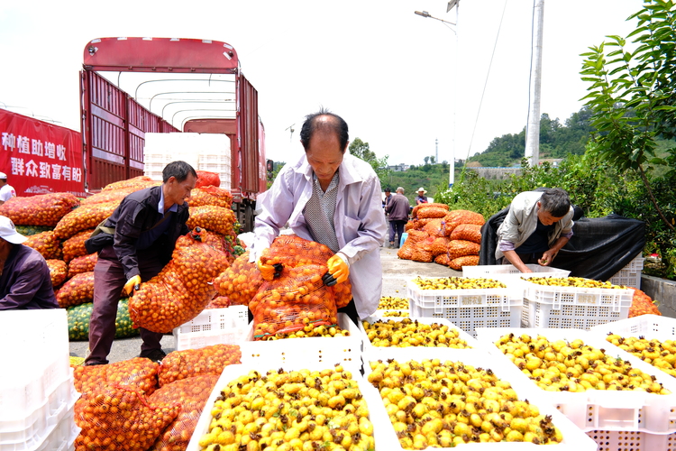 六盘水市水城区：奋楫笃行增干劲 乘风破浪启新程