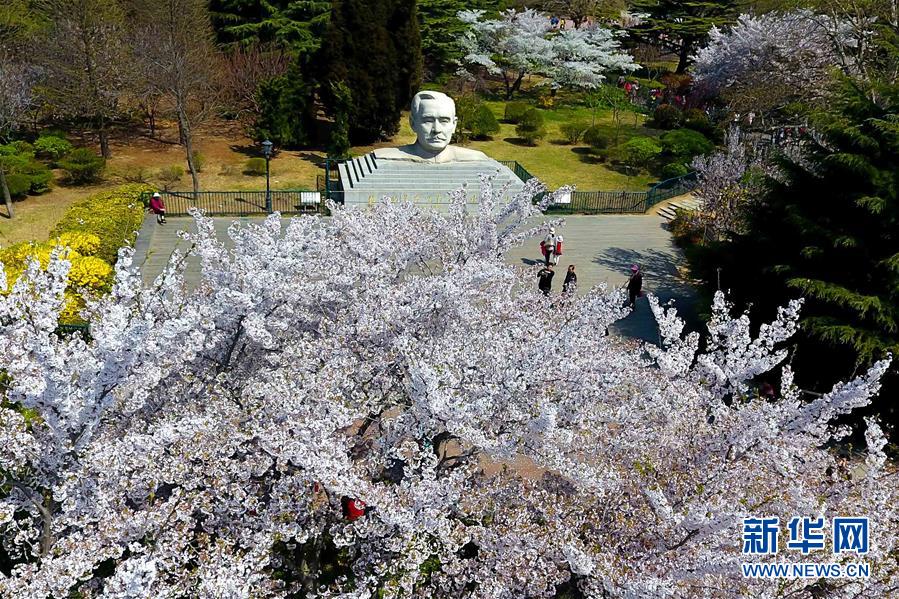 青岛赏花会启幕