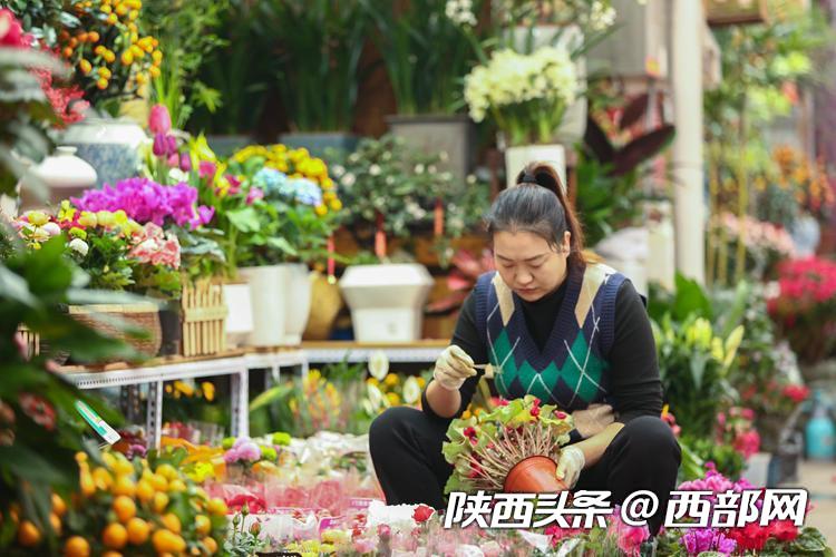 年宵花走俏！年味儿越来越浓 西安花卉市场持续升温