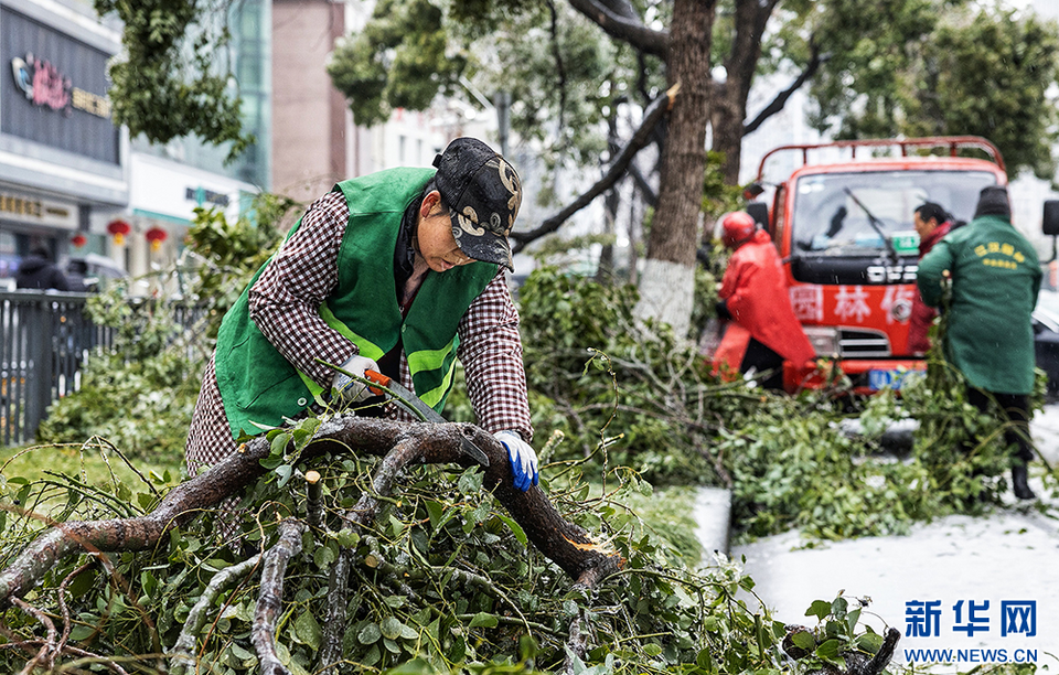 武汉园林开启24小时作业模式迎战冰雪