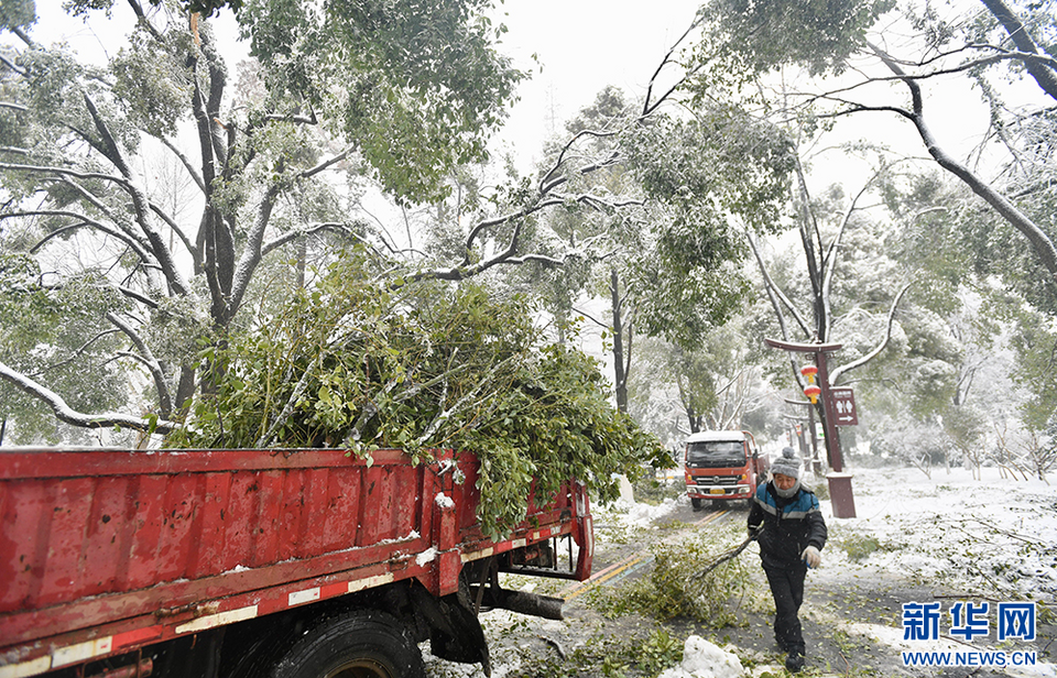 武汉园林开启24小时作业模式迎战冰雪