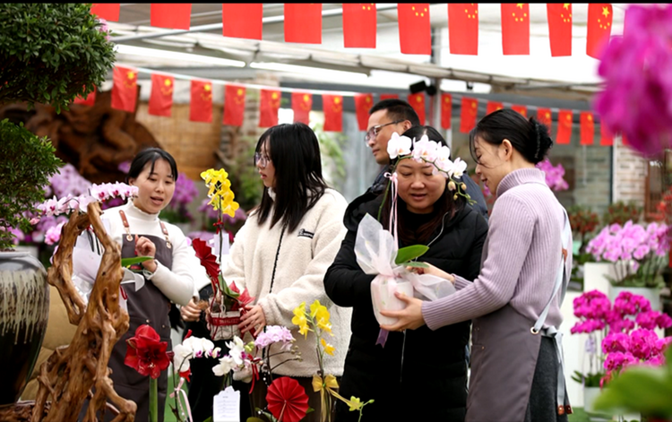 黄山市徽州区：花卉从业者坚守岗位 方便市民赏花选购_fororder_图片1