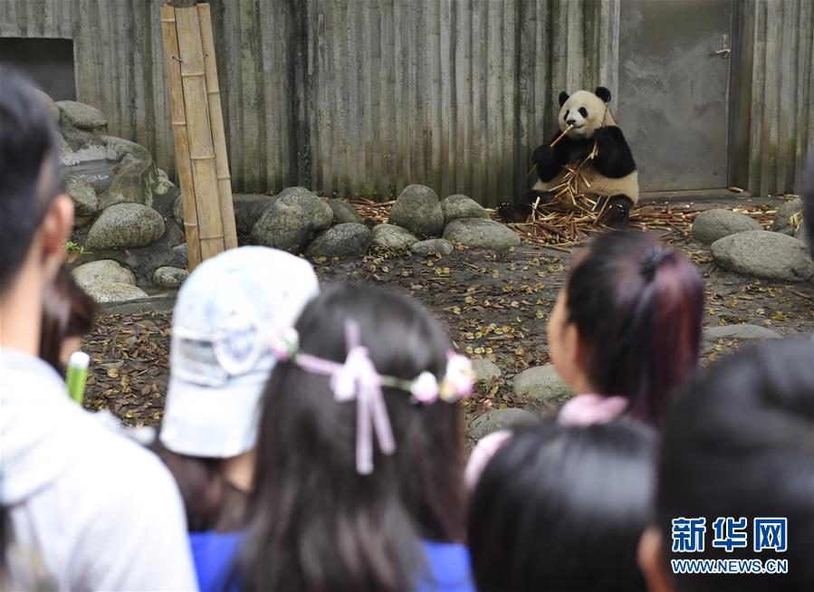 图片默认标题