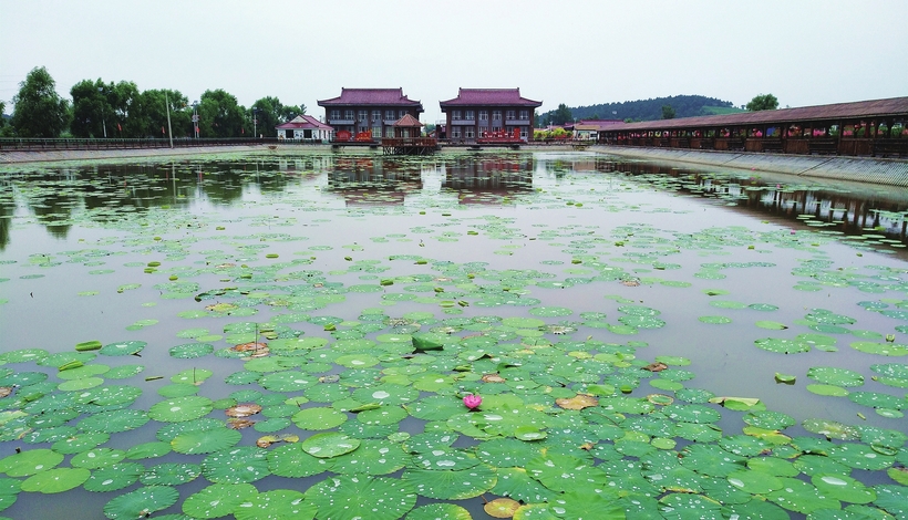 美丽乡村“蝶变”时——辽源市东辽县人居环境整治工作纪实