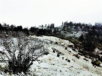 神农架迎来2019年秋季首场降雪