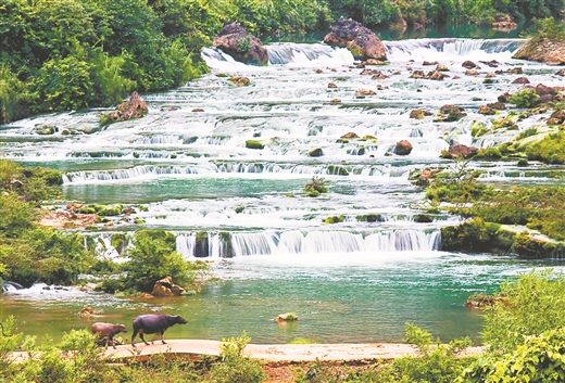 仙鹿歌唱的地方 如此让人眷恋 ——聚焦鹿寨县争创广西特色旅游名县