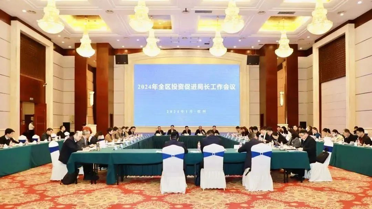 广西召开2024年投资促进局长工作会议 推动招商引资实现“开门红”_fororder_图片7