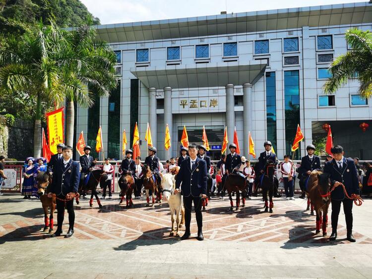 德保矮马亮相中越边民大联欢活动