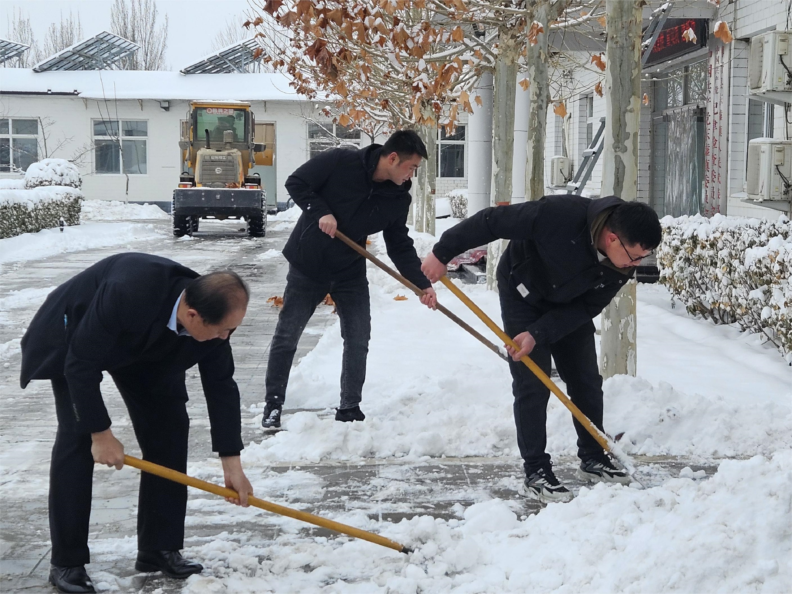 保定博野：以雪为令齐行动 清雪除冰暖人心_fororder_4