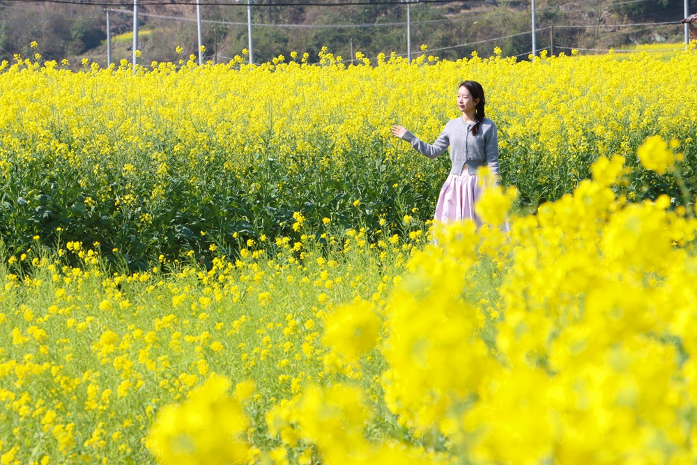 贵州独山：春暖花又开 两千亩油菜迎春开放_fororder_20240220102255-MJzQ2g-