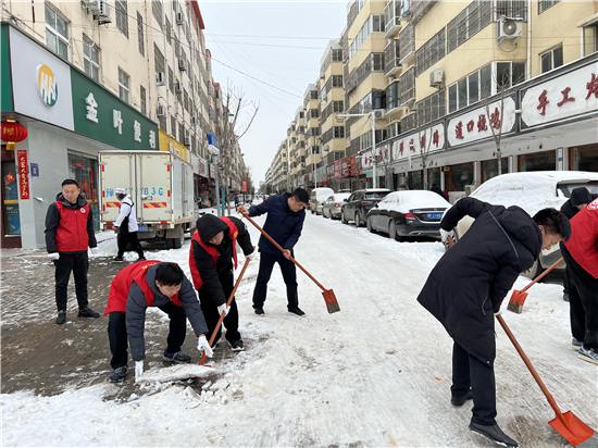 周口市郸城县审计局开展破冰除雪志愿服务活动_fororder_图片5