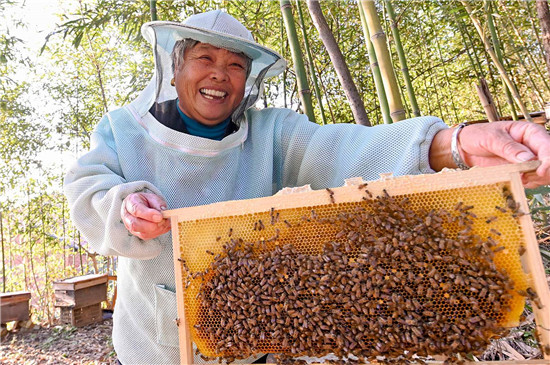 信阳新县建设蜂产业示范园 着力打造“蜜蜂王国”_fororder_喜上眉梢 （吴丹 摄）