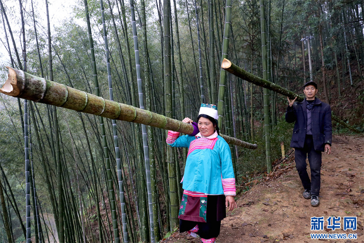 贵州榕江：赶制灯笼迎新年