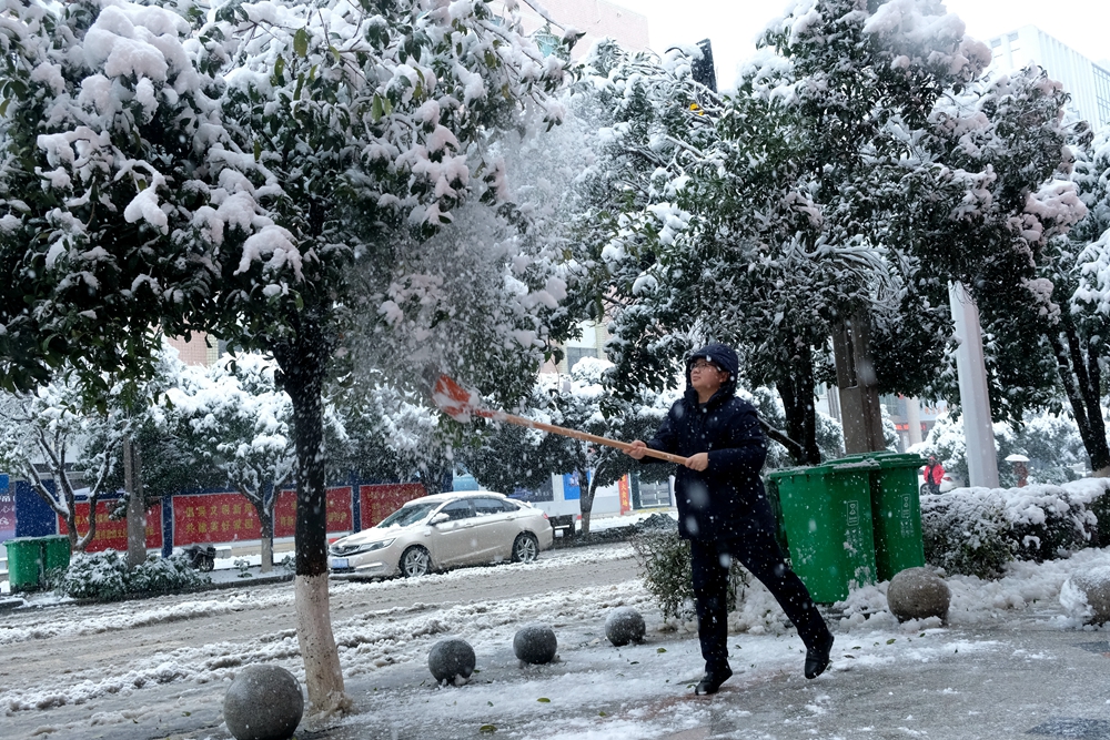 贵州天柱：干群齐心 除雪保安全_fororder_贵州银行职工在打雪防止树被压断。.JPG