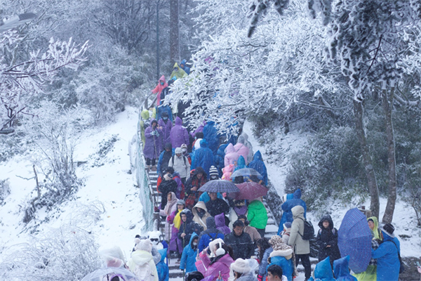 成都下雪上热搜！昨天还是“头皮雪”，今天一起“白了头”_fororder_未标题-2