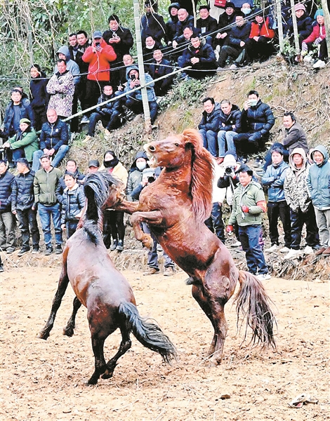 苗寨坡会闹新春 笙歌踩堂祈丰年