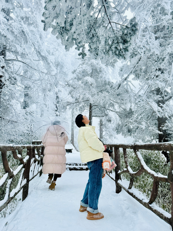 成都下雪上热搜！昨天还是“头皮雪”，今天一起“白了头”_fororder_未标题-7